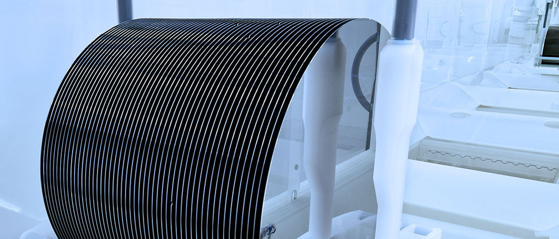 wafers in transport carrier